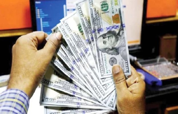 Rupee holds steady against US dollar