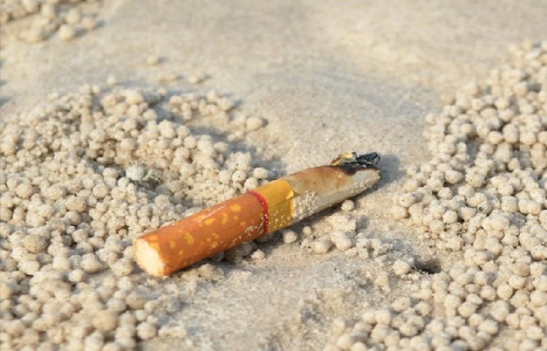 Cigarette filters may seem small and relatively harmless, but can cause irreversible damage to oceans and wildlife. 