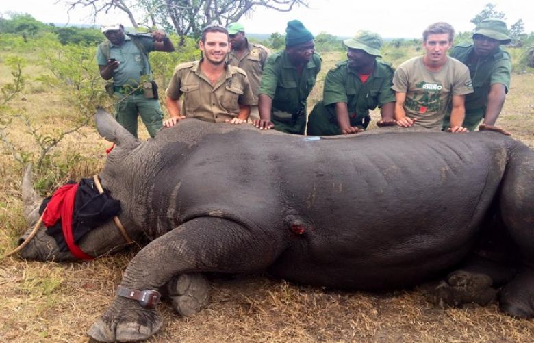 A group of us wildlife researchers got fed up with the increasing poaching so we did
