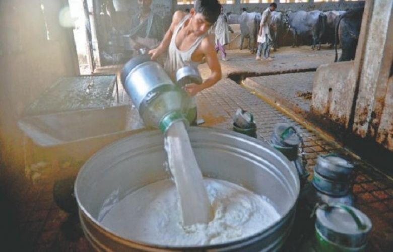Dairy farmers have hiked milk price by Rs23 per litre in Karachi