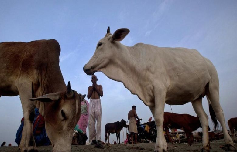 People beat man to death on suspicion of cow smuggling in India