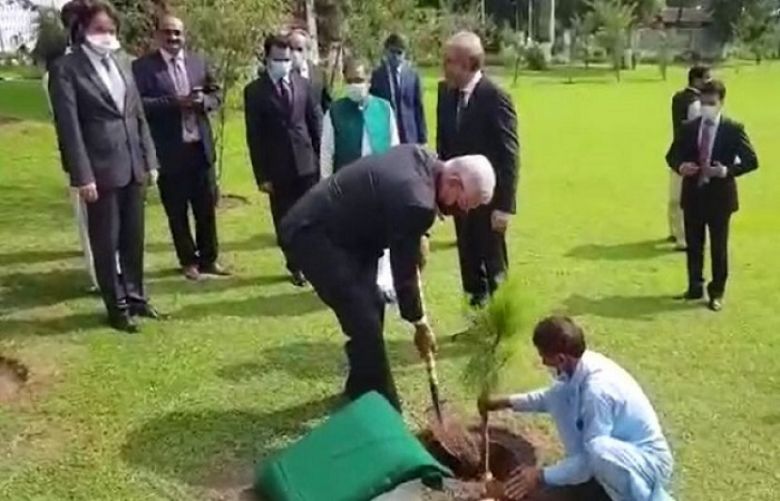 UNGA President planted a sapling at the office of foreign ministry