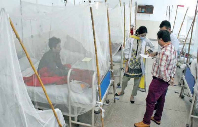 KP registers 40 dengue cases in one week