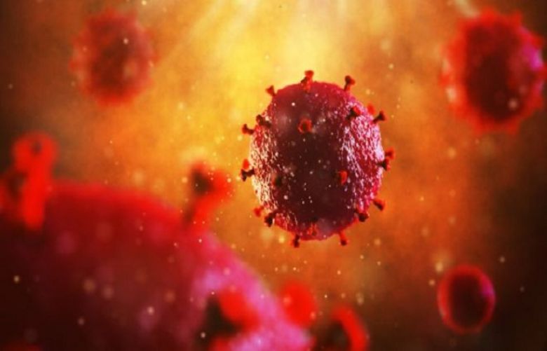 HIV was no longer detected in the patient&#039;s body after the transplant