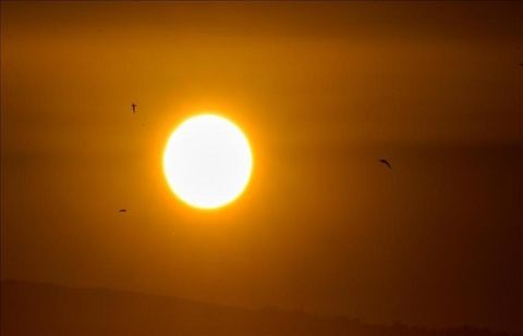 February 2024 was hottest on record, EU climate agency says