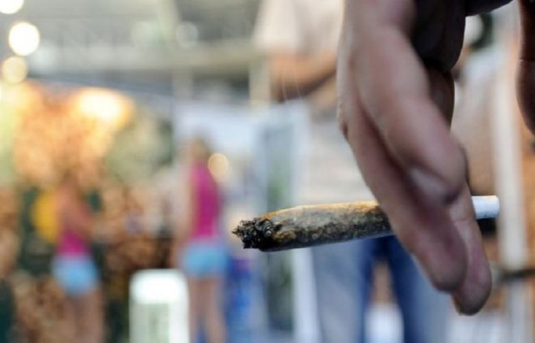 The hashish obtained in Madrid was found to contain dangerous levels of E.coli bacteria