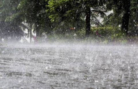 Rain with wind, thundershower expected in most parts of country