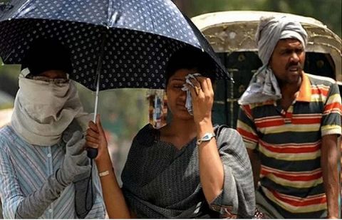 Dozens die as northern India swelters under heatwave