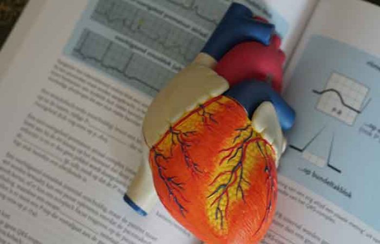 Blood test to determine organ age could help predict disease risk