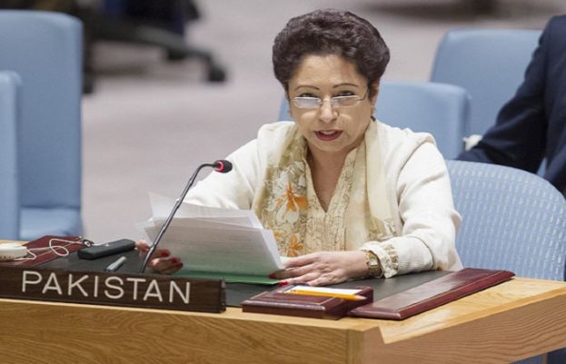 Lodhi denounces double standards by international community towards humanity