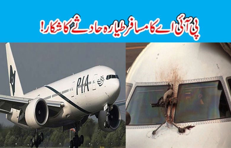 Bird hits PIA aircraft in Lahore Airport