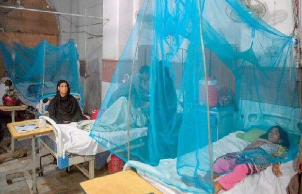 Dengue death toll reaches five, KP reports 79 fresh cases