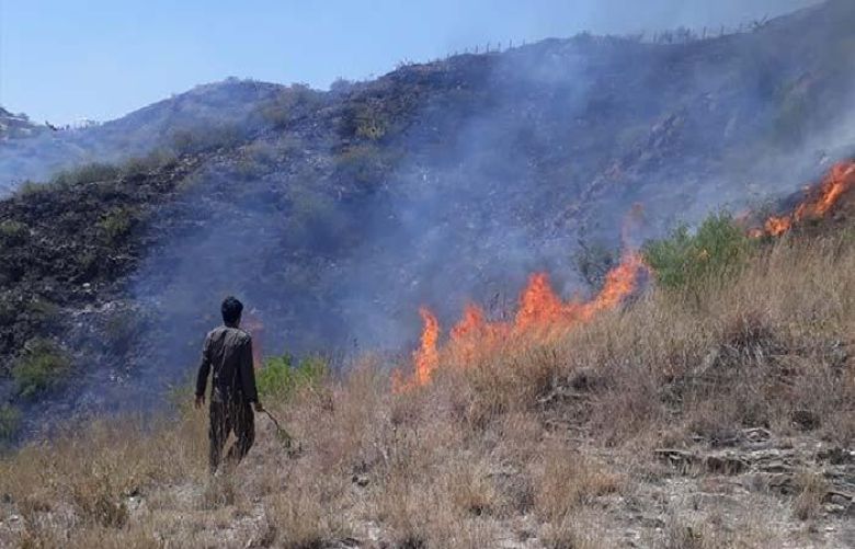 Fire in forest in Marghuraz, KPK