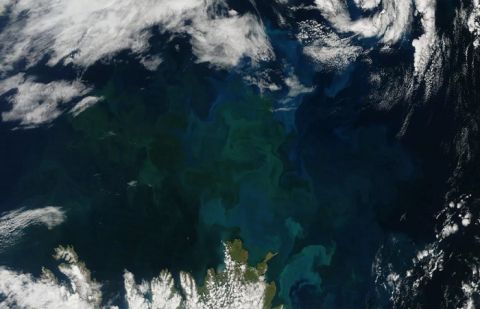 Climate Change Is Shifting the Color of Earth’s Oceans