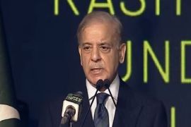 Nobody will be allowed to harm economy through politics of protests: PM Shehbaz