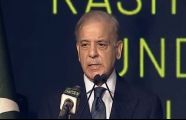 Nobody will be allowed to harm economy through politics of protests: PM Shehbaz