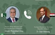 Dar holds key talks with Egyptian FM on Middle East situation