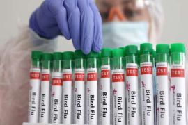 Australia records first human case of bird flu in child travelling from India