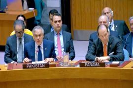 DPM urges implementation of UN resolutions on Kashmir, Palestine