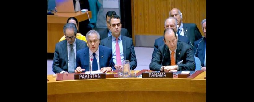 DPM urges implementation of UN resolutions on Kashmir, Palestine