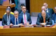 DPM urges implementation of UN resolutions on Kashmir, Palestine