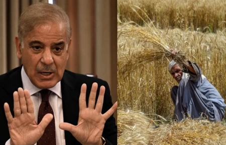 Wheat scandal: PM approves action against 4 officers for negligence