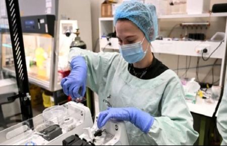 Australian researchers teach brain cells to play 'Doom'