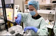 Australian researchers teach brain cells to play 'Doom'