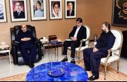 President discusses inter-provincial affairs with Sindh, Balochistan CMs