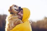 Study explores reason behind dogs being man's best friend
