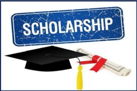 2024 Government of Denmark Scholarship | Step-by-Step Process