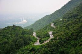 Protecting Nature’s Treasure: Plantation Efforts in Margalla Hills National Park