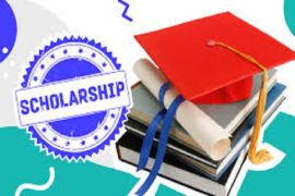 Italian Government Scholarship 2024 | Fully Funded