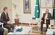 Pakistan committed to advancing SCO's objectives: DPM Dar