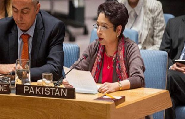 ڈاکٹر ملیحہ لودھی