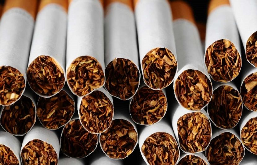 تمباکو کی پیداوار میں رواں سال 25 فیصد اضافے کا امکان