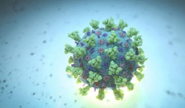 دنیا بھر میں کورونا وائرس سے متاثرین کی تعداد 3 کروڑ 92 لاکھ سے تجاوز کر گئی 