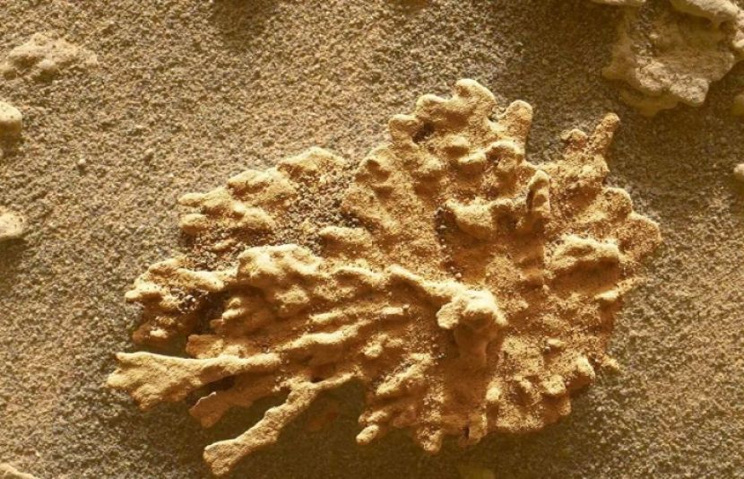 منفرد ساخت والا پتھر دریافت