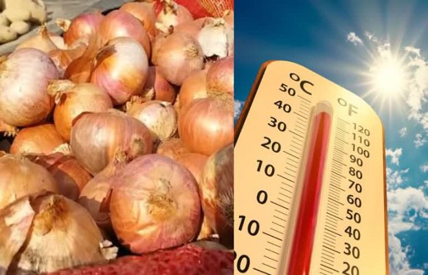 گرمیوں میں گھر سے باہر نکلتے وقت پیاز ساتھ رکھنا لُو لگنے سے بچاتا ہے