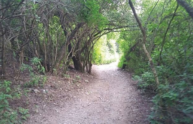 اسلام آباد: مارگلہ واکنگ ٹریلز