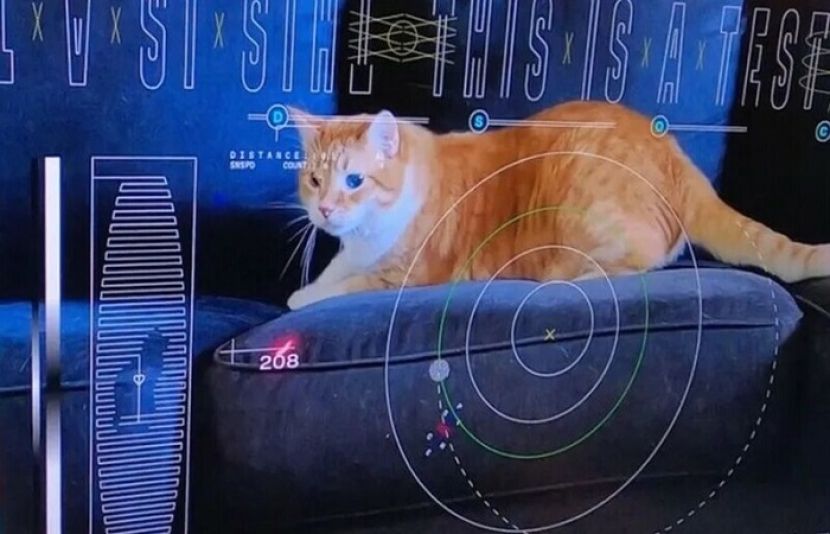 ناسا کے خلائی جہاز ’سائیکی پروب‘ پر لیزر کا استعمال کرتے ہوئے بلی کی ویڈیو زمین پر بھیجی گئی