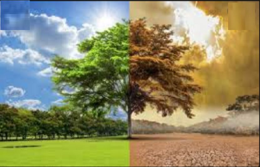 کورونا وائرس کے حیران کن فوائد بھی سامنے آگئے