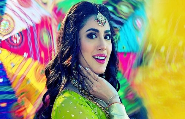 پاکستانی نامور اداکارہ مہوش حیات