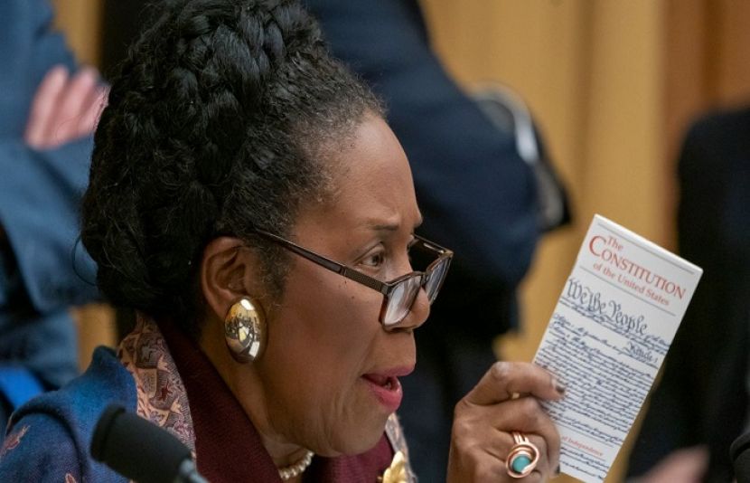 امریکی رکن کانگریس