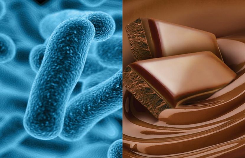 چاکلیٹ کے ذائقے اور خوشبو کی تیاری میں بیکٹیریا کا کردار نہایت اہم ہے