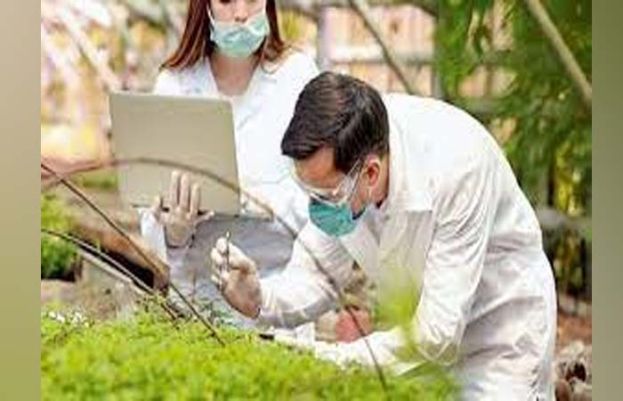 کورونا ویکسین