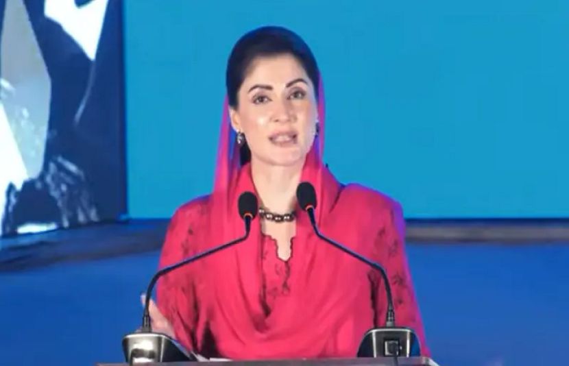 تنقید کرنے والے اپنے صوبے میں کام کر لیتے تومتاثرین کا بھلا ہوتا، وزیر اعلیٰ پنجاب