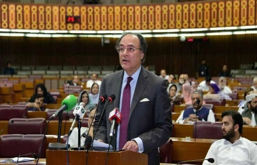 قومی اسمبلی نے مالی سال 25-2024 کا وفاقی بجٹ منظور کرلیا