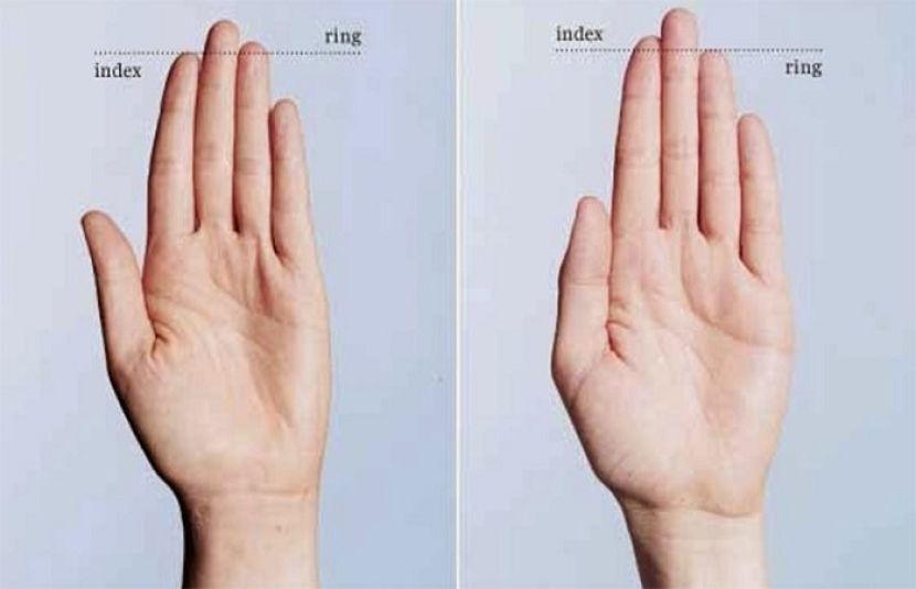 ہاتھوں کی انگلیوں
