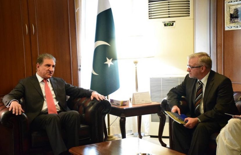 یورپی یونین کے چیف انتخابی مبصر کی وزیر خارجہ شاہ محمود سے ملاقات